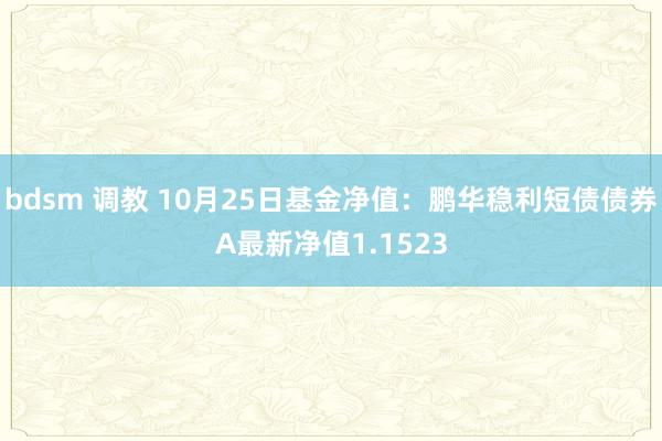 bdsm 调教 10月25日基金净值：鹏华稳利短债债券A最新净值1.1523