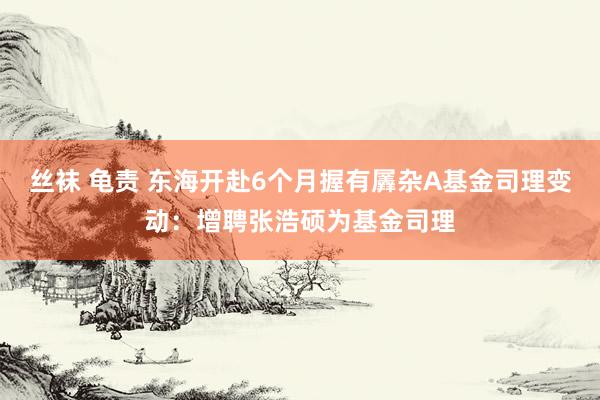 丝袜 龟责 东海开赴6个月握有羼杂A基金司理变动：增聘张浩硕为基金司理