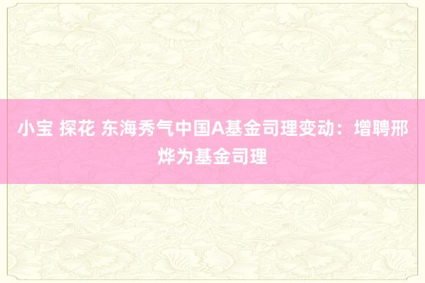小宝 探花 东海秀气中国A基金司理变动：增聘邢烨为基金司理