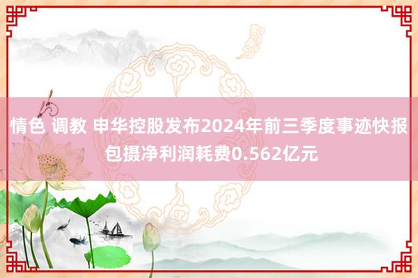 情色 调教 申华控股发布2024年前三季度事迹快报 包摄净利润耗费0.562亿元