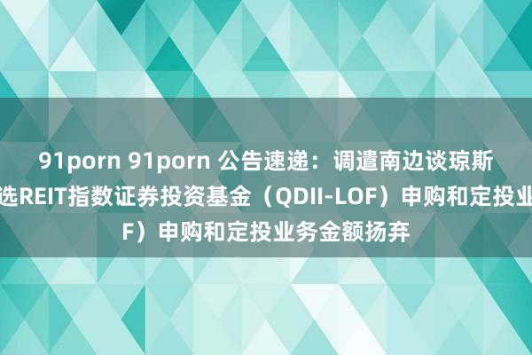 91porn 91porn 公告速递：调遣南边谈琼斯好意思国精选REIT指数证券投资基金（QDII-LOF）申购和定投业务金额扬弃