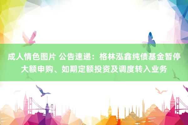 成人情色图片 公告速递：格林泓鑫纯债基金暂停大额申购、如期定额投资及调度转入业务
