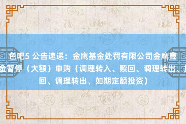 色吧5 公告速递：金鹰基金处罚有限公司金鹰鑫瑞夹杂基金基金暂停（大额）申购（调理转入、赎回、调理转出、如期定额投资）