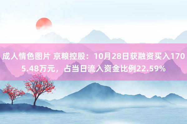 成人情色图片 京粮控股：10月28日获融资买入1705.48万元，占当日流入资金比例22.59%