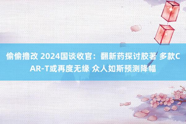 偷偷撸改 2024国谈收官：翻新药探讨胶著 多款CAR-T或再度无缘 众人如斯预测降幅