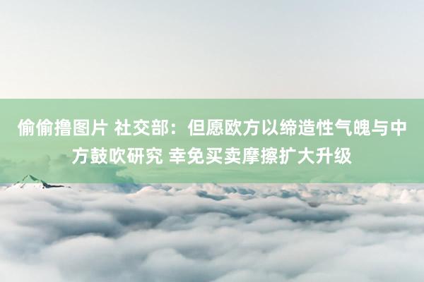 偷偷撸图片 社交部：但愿欧方以缔造性气魄与中方鼓吹研究 幸免买卖摩擦扩大升级