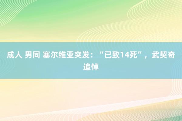 成人 男同 塞尔维亚突发：“已致14死”，武契奇追悼