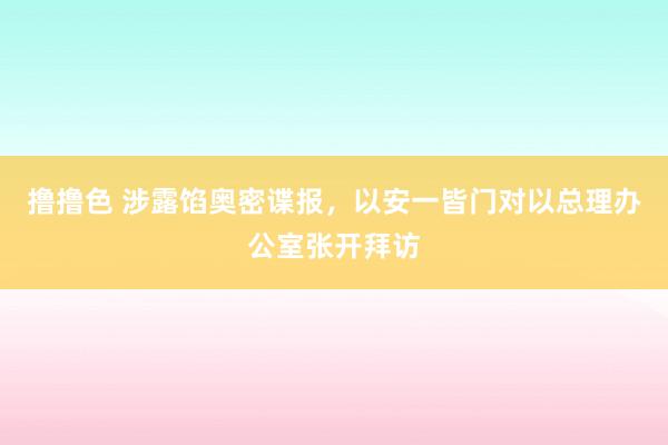 撸撸色 涉露馅奥密谍报，以安一皆门对以总理办公室张开拜访