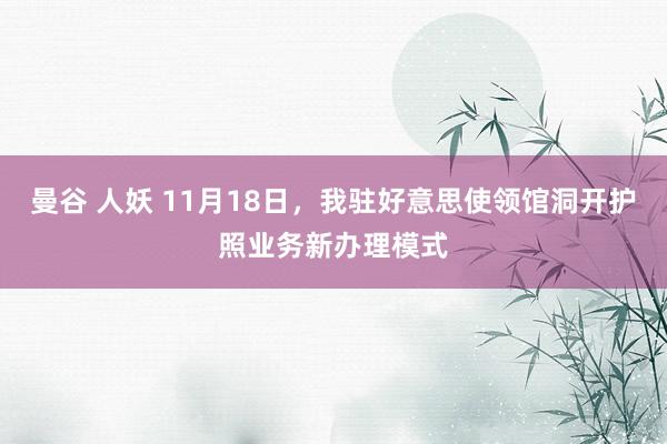曼谷 人妖 11月18日，我驻好意思使领馆洞开护照业务新办理模式