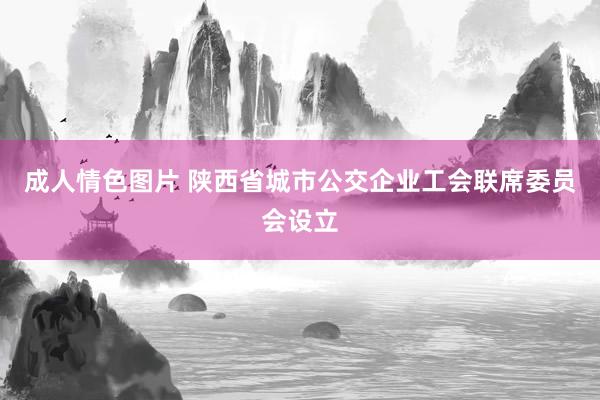 成人情色图片 陕西省城市公交企业工会联席委员会设立