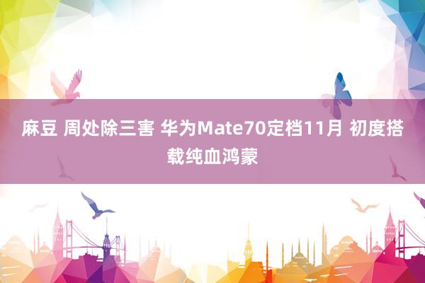 麻豆 周处除三害 华为Mate70定档11月 初度搭载纯血鸿蒙
