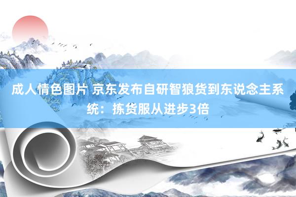 成人情色图片 京东发布自研智狼货到东说念主系统：拣货服从进步3倍