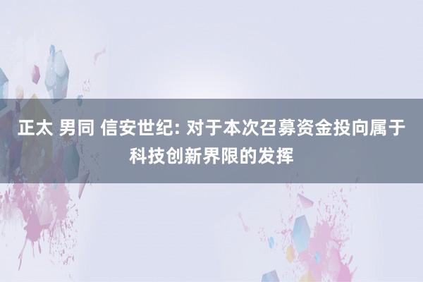 正太 男同 信安世纪: 对于本次召募资金投向属于科技创新界限的发挥