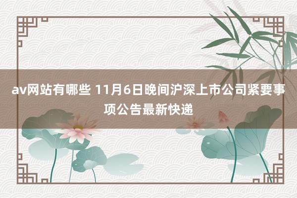 av网站有哪些 11月6日晚间沪深上市公司紧要事项公告最新快递