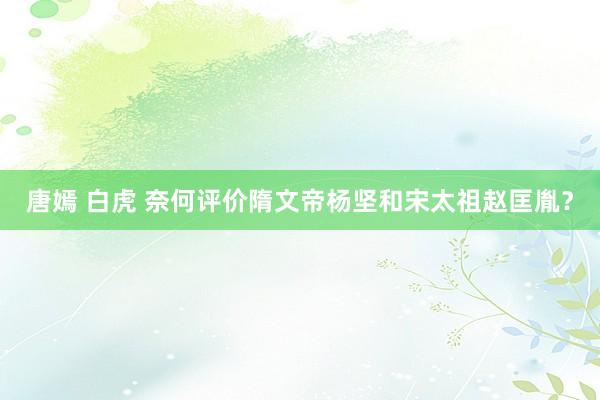 唐嫣 白虎 奈何评价隋文帝杨坚和宋太祖赵匡胤？
