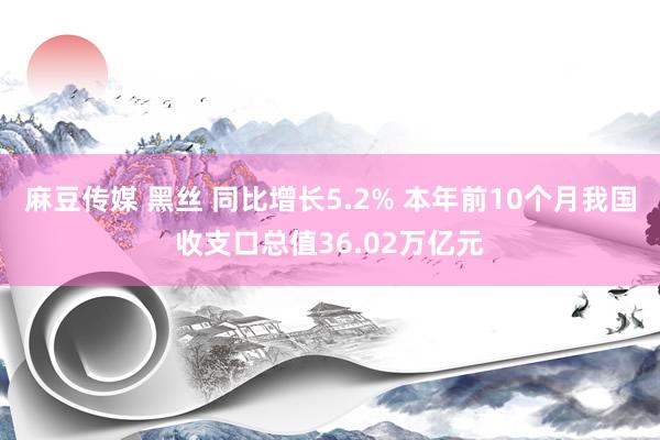麻豆传媒 黑丝 同比增长5.2% 本年前10个月我国收支口总值36.02万亿元
