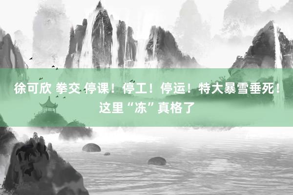 徐可欣 拳交 停课！停工！停运！特大暴雪垂死！这里“冻”真格了
