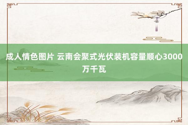 成人情色图片 云南会聚式光伏装机容量顺心3000万千瓦