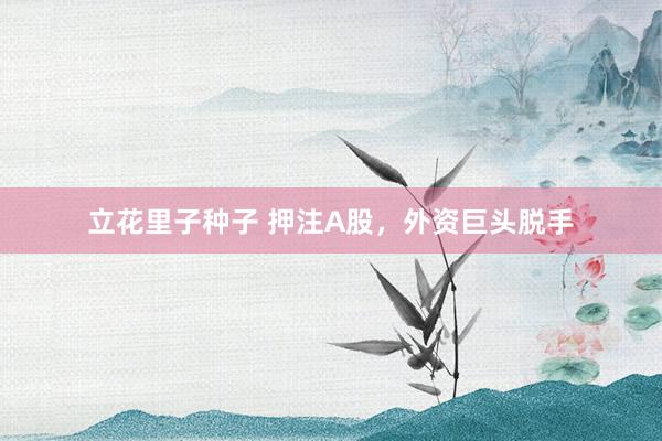立花里子种子 押注A股，外资巨头脱手