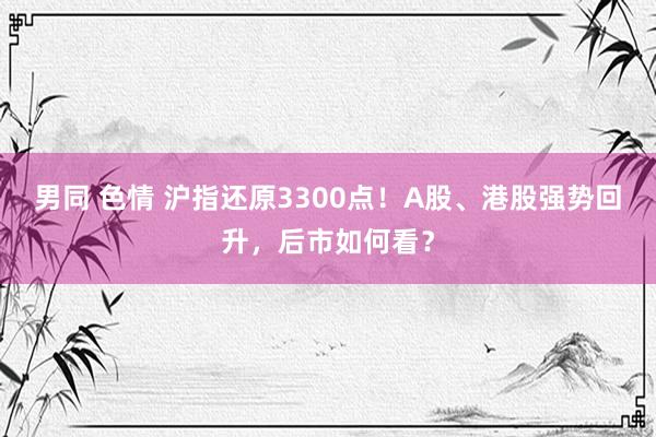 男同 色情 沪指还原3300点！A股、港股强势回升，后市如何看？