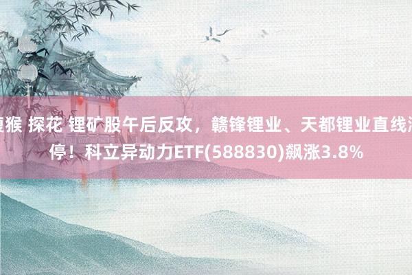 瘦猴 探花 锂矿股午后反攻，赣锋锂业、天都锂业直线涨停！科立异动力ETF(588830)飙涨3.8%