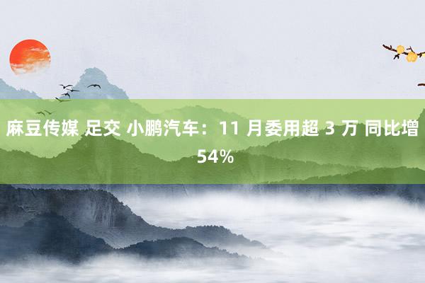 麻豆传媒 足交 小鹏汽车：11 月委用超 3 万 同比增 54%
