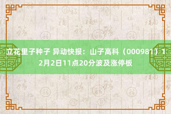 立花里子种子 异动快报：山子高科（000981）12月2日11点20分波及涨停板