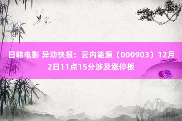 日韩电影 异动快报：云内能源（000903）12月2日11点15分涉及涨停板