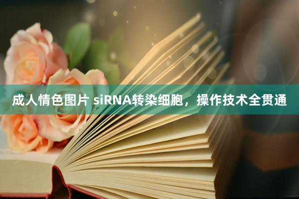 成人情色图片 siRNA转染细胞，操作技术全贯通