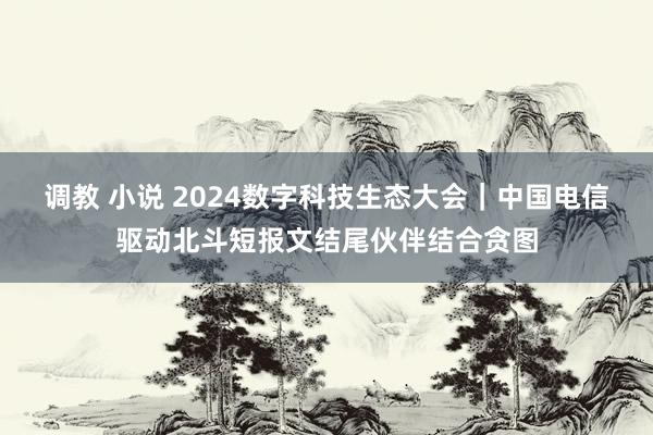 调教 小说 2024数字科技生态大会｜中国电信驱动北斗短报文结尾伙伴结合贪图