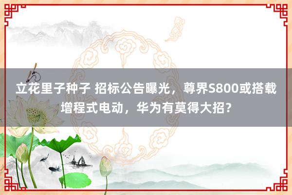 立花里子种子 招标公告曝光，尊界S800或搭载增程式电动，华为有莫得大招？
