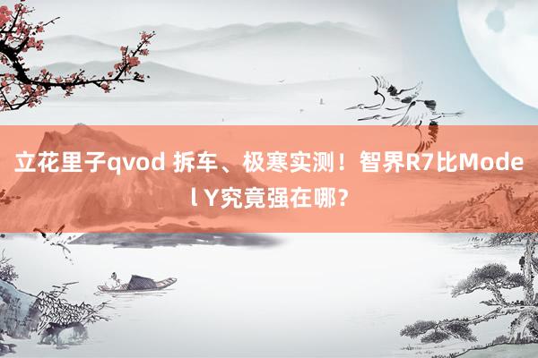 立花里子qvod 拆车、极寒实测！智界R7比Model Y究竟强在哪？