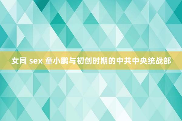 女同 sex 童小鹏与初创时期的中共中央统战部