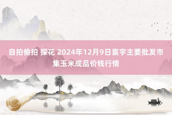 自拍偷拍 探花 2024年12月9日寰宇主要批发市集玉米成品价钱行情