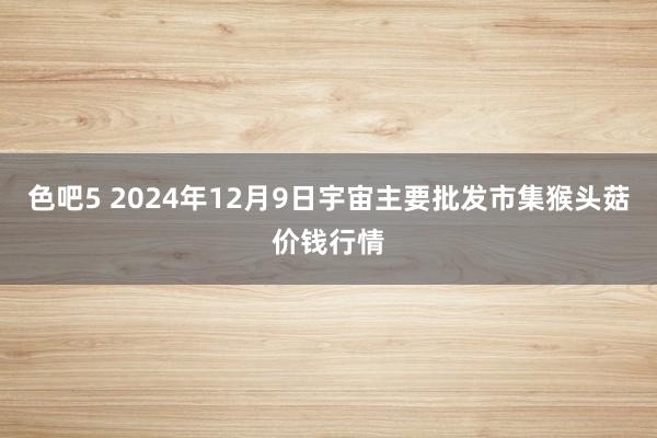 色吧5 2024年12月9日宇宙主要批发市集猴头菇价钱行情