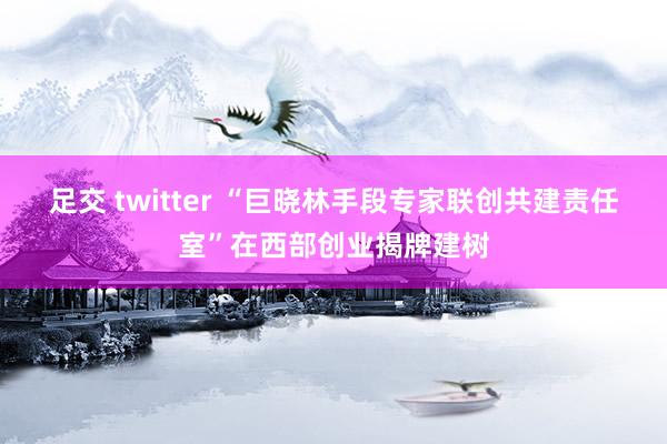 足交 twitter “巨晓林手段专家联创共建责任室”在西部创业揭牌建树