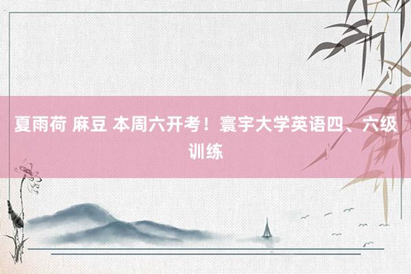 夏雨荷 麻豆 本周六开考！寰宇大学英语四、六级训练