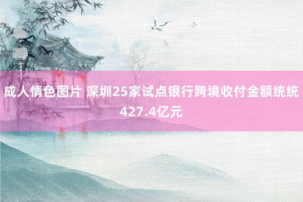 成人情色图片 深圳25家试点银行跨境收付金额统统427.4亿元