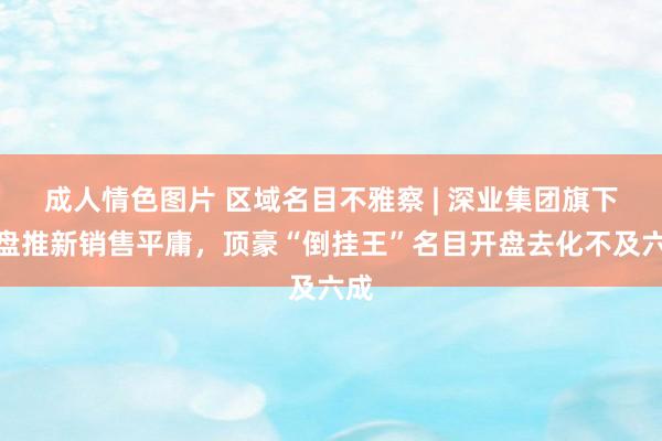 成人情色图片 区域名目不雅察 | 深业集团旗下双盘推新销售平庸，顶豪“倒挂王”名目开盘去化不及六成