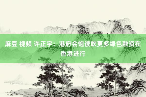 麻豆 视频 许正宇：港府会饱读吹更多绿色融资在香港进行
