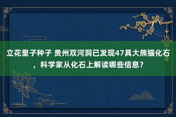 立花里子种子 贵州双河洞已发现47具大熊猫化石，科学家从化石上解读哪些信息？