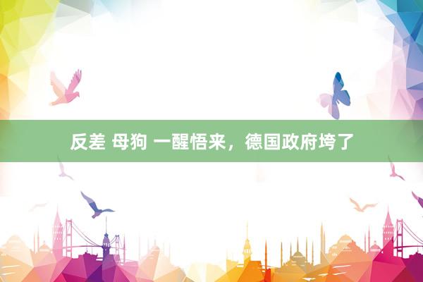 反差 母狗 一醒悟来，德国政府垮了