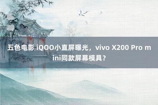五色电影 iQOO小直屏曝光，vivo X200 Pro mini同款屏幕模具？