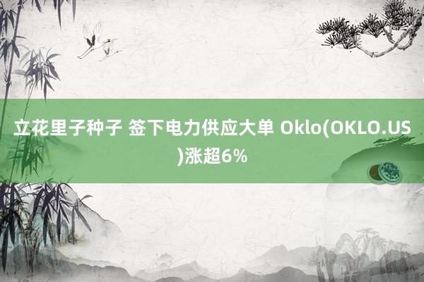 立花里子种子 签下电力供应大单 Oklo(OKLO.US)涨超6%