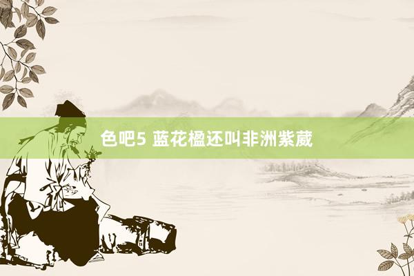 色吧5 蓝花楹还叫非洲紫葳