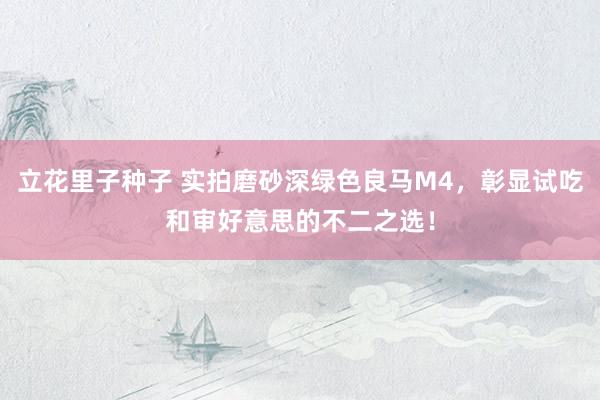 立花里子种子 实拍磨砂深绿色良马M4，彰显试吃和审好意思的不二之选！