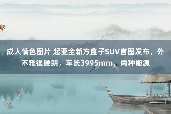 成人情色图片 起亚全新方盒子SUV官图发布，外不雅很硬朗，车长3995mm，两种能源