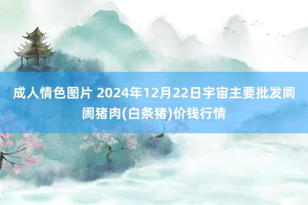 成人情色图片 2024年12月22日宇宙主要批发阛阓猪肉(白条猪)价钱行情