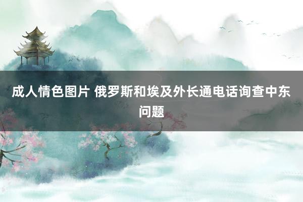 成人情色图片 俄罗斯和埃及外长通电话询查中东问题