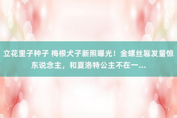 立花里子种子 梅根犬子新照曝光！金螺丝鬈发量惊东说念主，和夏洛特公主不在一...